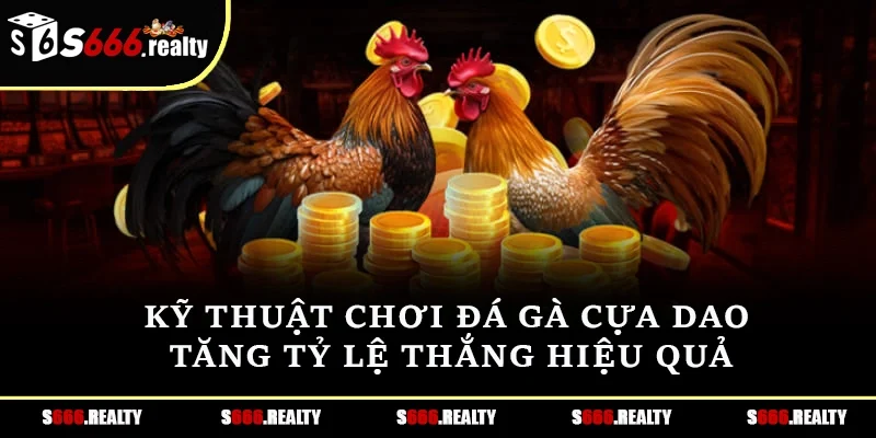 Đá gà cựa dao