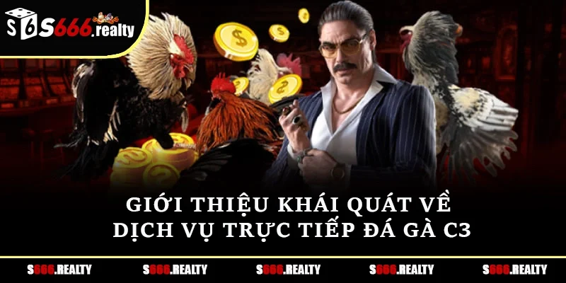 Giới thiệu khái quát về dịch vụ trực tiếp đá gà C3