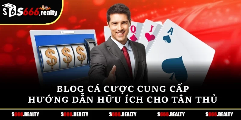 Blog cá cược cung cấp hướng dẫn hữu ích cho tân thủ